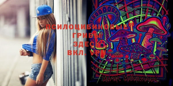гидра Киренск