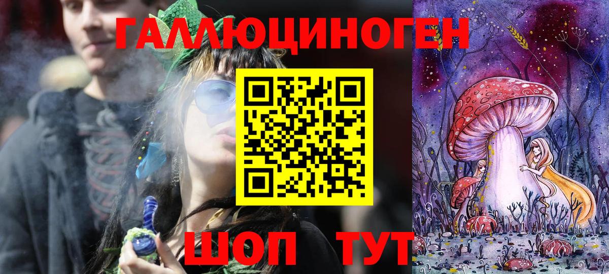 Галлюциногенные грибы Psilocybe Сызрань